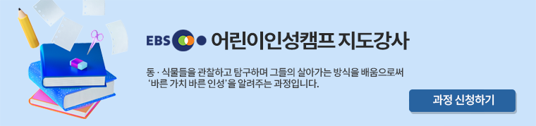 EBS 어린이인성 지도강사